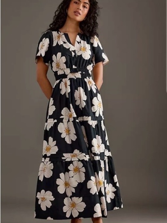Anthropologie Dresses & Skirts - Anthropologie Somerset Maxi Dress with black and white Floral Print